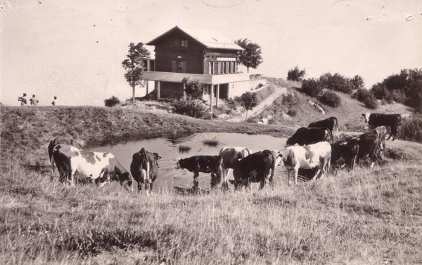 Chalet de la Table d´Orientation devenu Centre bouddhiste Shedrub Choekhor Ling