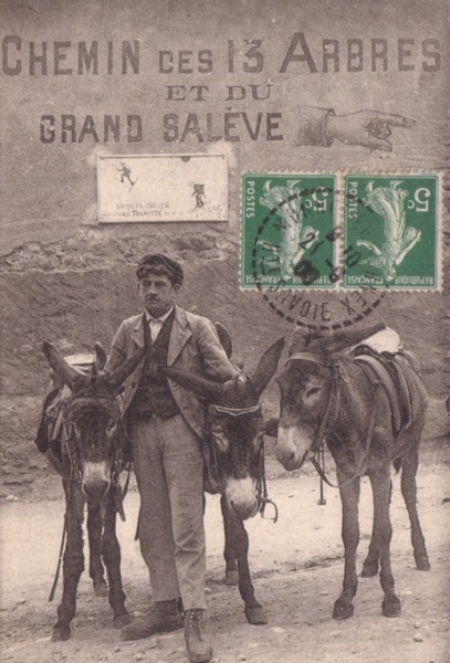 Les trois ânes et l'ânier (v. 1908)