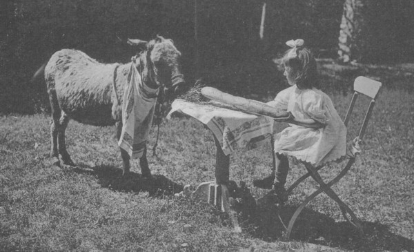 Ane et enfant à Monnetier (1922)