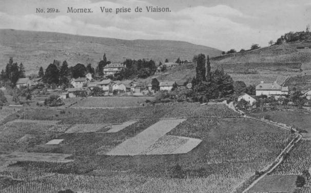 Vignes sur les pentes de Mornex