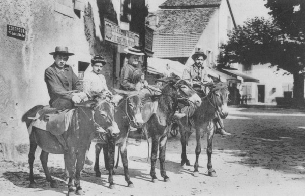 Les ânes de Monnetier