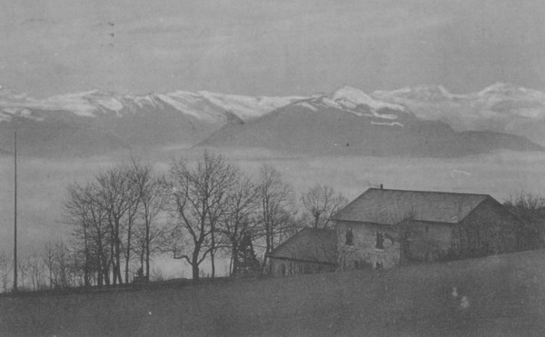 Restaurant du Mont-Blanc