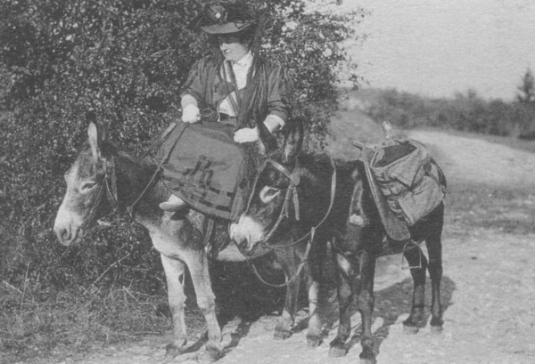 Promenade à dos d´âne