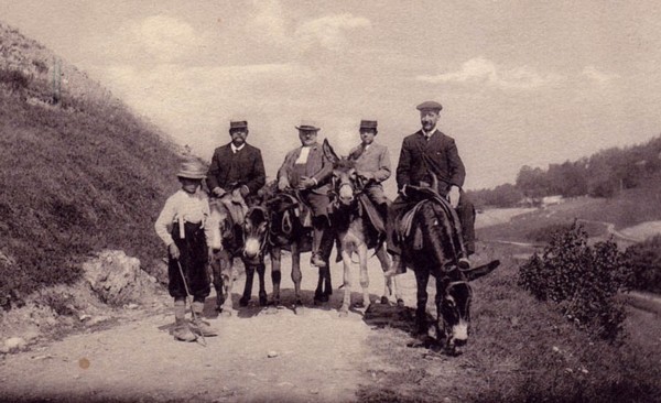 Ânes de Monnetier sur l'ancienne route du Grand Salève