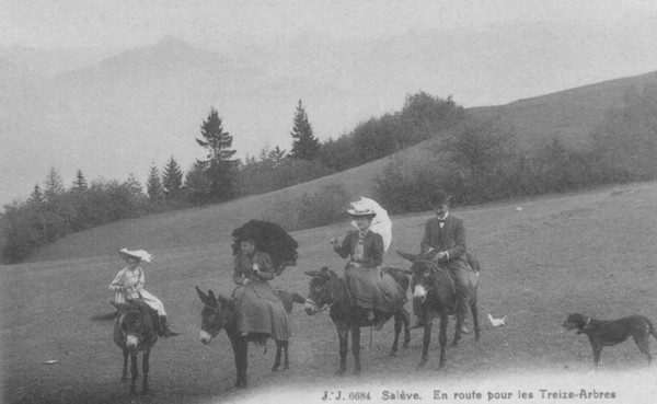 Promenade à dos d'âne au Salève