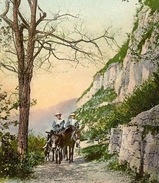 Ânes aux voûtes de l'Ermitage