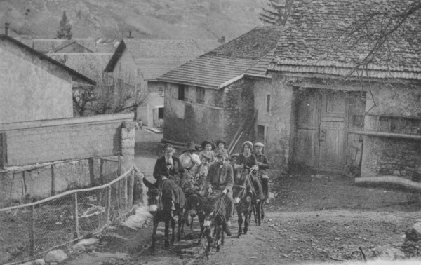 Les ânes de Monnetier