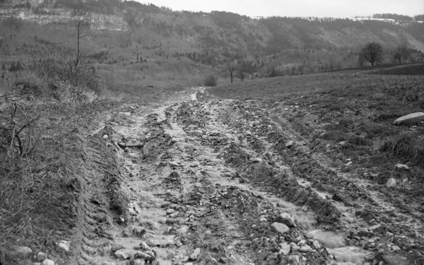 Future Route Forestière d’Archamps (mars 1952)