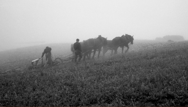 Les labours (nov. 1936)