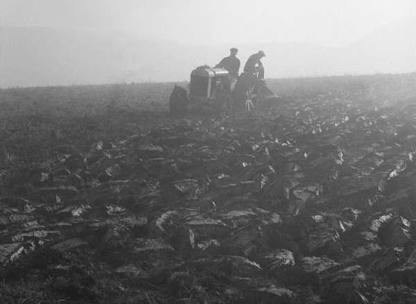 Labours motorisés (v. 1950)