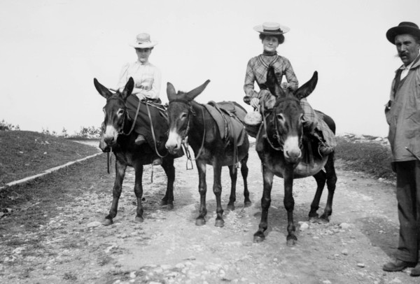 Montée au Salève à dos d'âne (2/2) (v. 1900)