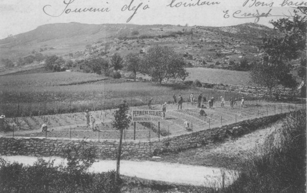 La pépinière du Salève