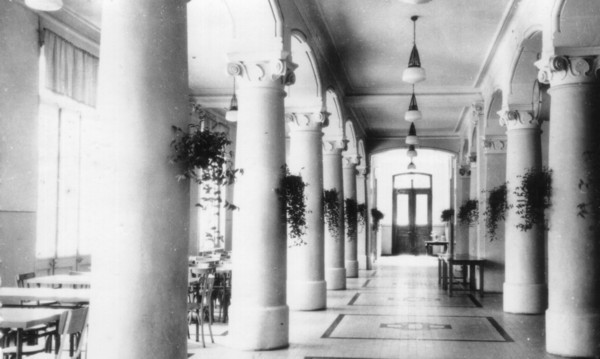 Bois Salève au Pas de l´Echelle