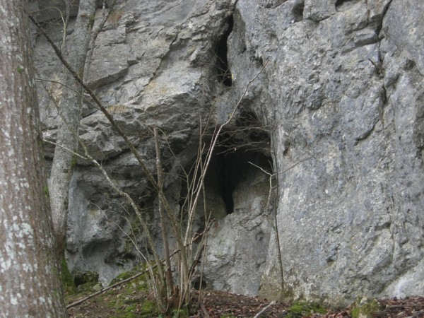 Grotte des Renardes ou Dunoyer (20 février 2011)