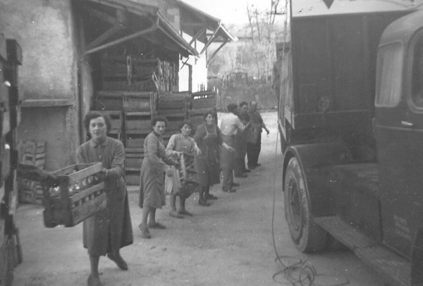 Déchargement d'un semi-remorque de caisses de vin à Chenex (v. 1960)