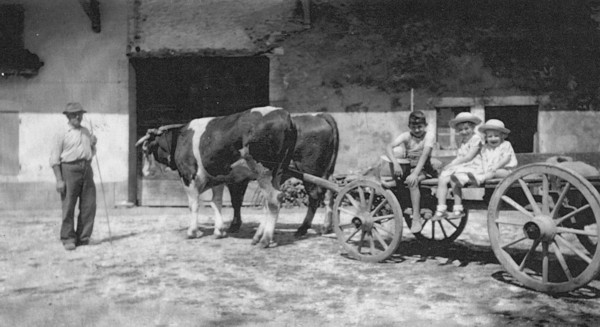 Attelage de bœufs avec trois enfants de Vovray (1941)