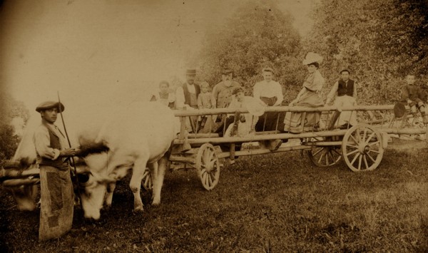 Char à échelles de la ferme Fontaine à Blécheins (v. 1908)