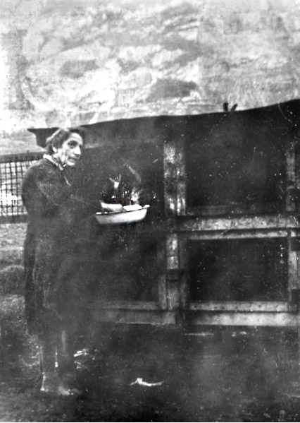 Les lapins de Pas de l’Echelle (v. 1950)