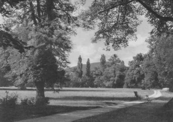 Le Salève vu de la campagne genevoise